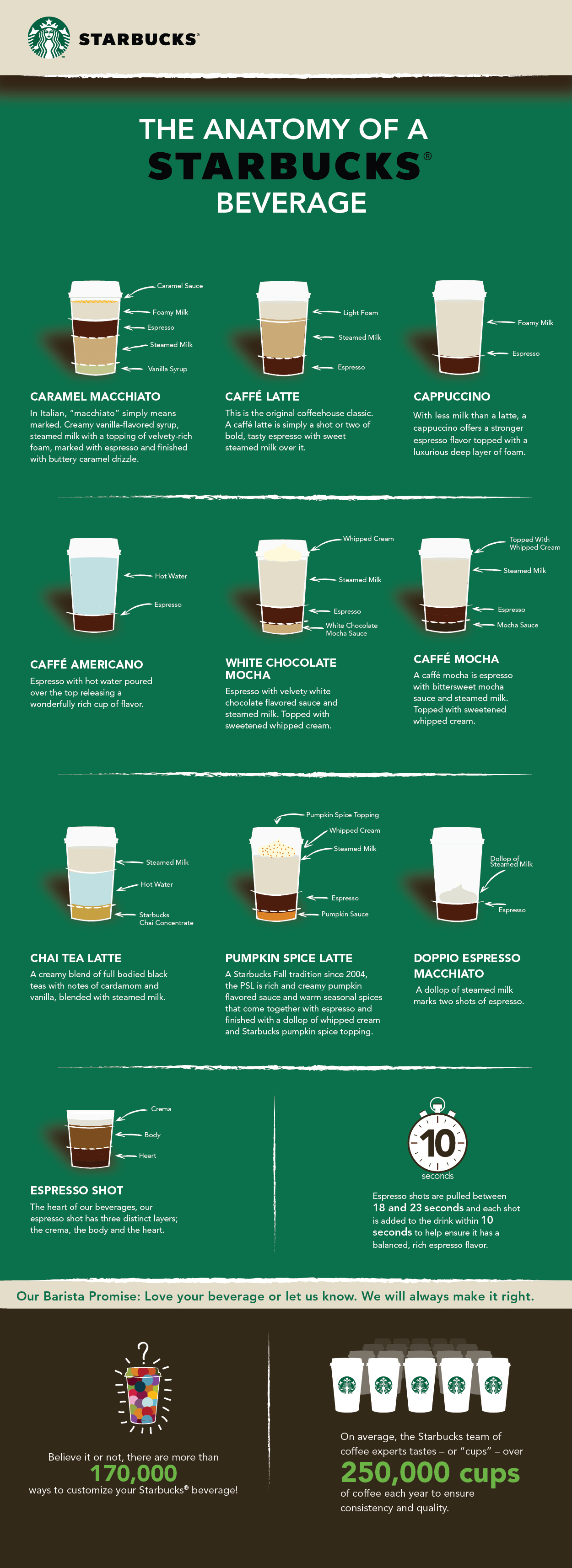 Starbucks anatomy of Coffee