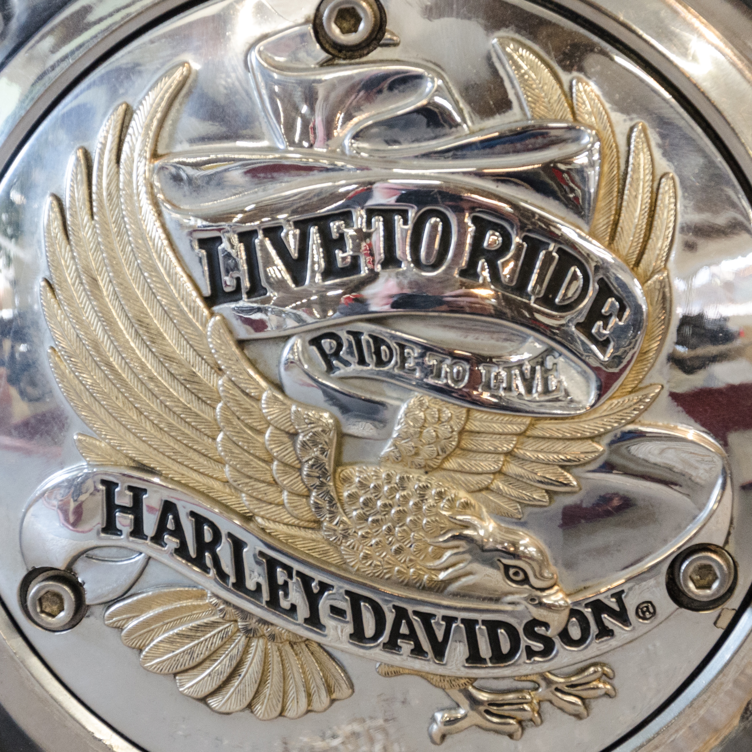 Harley Davidson Ride to Live
