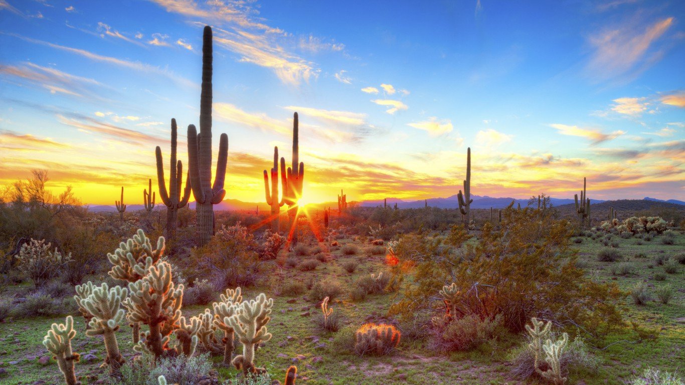 Arizona (desert, cactus)