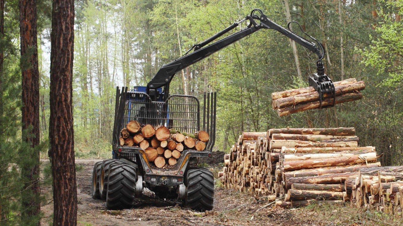Logging Equipment Operator
