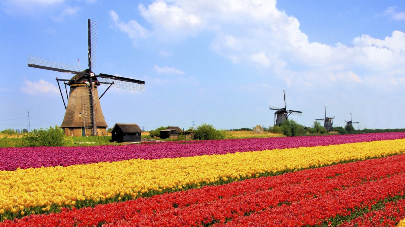 Tulip Fields, Netherlands