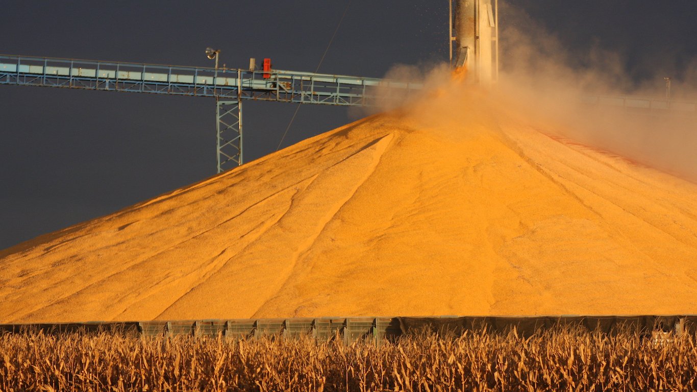 Striking Gold with Corn in Iowa