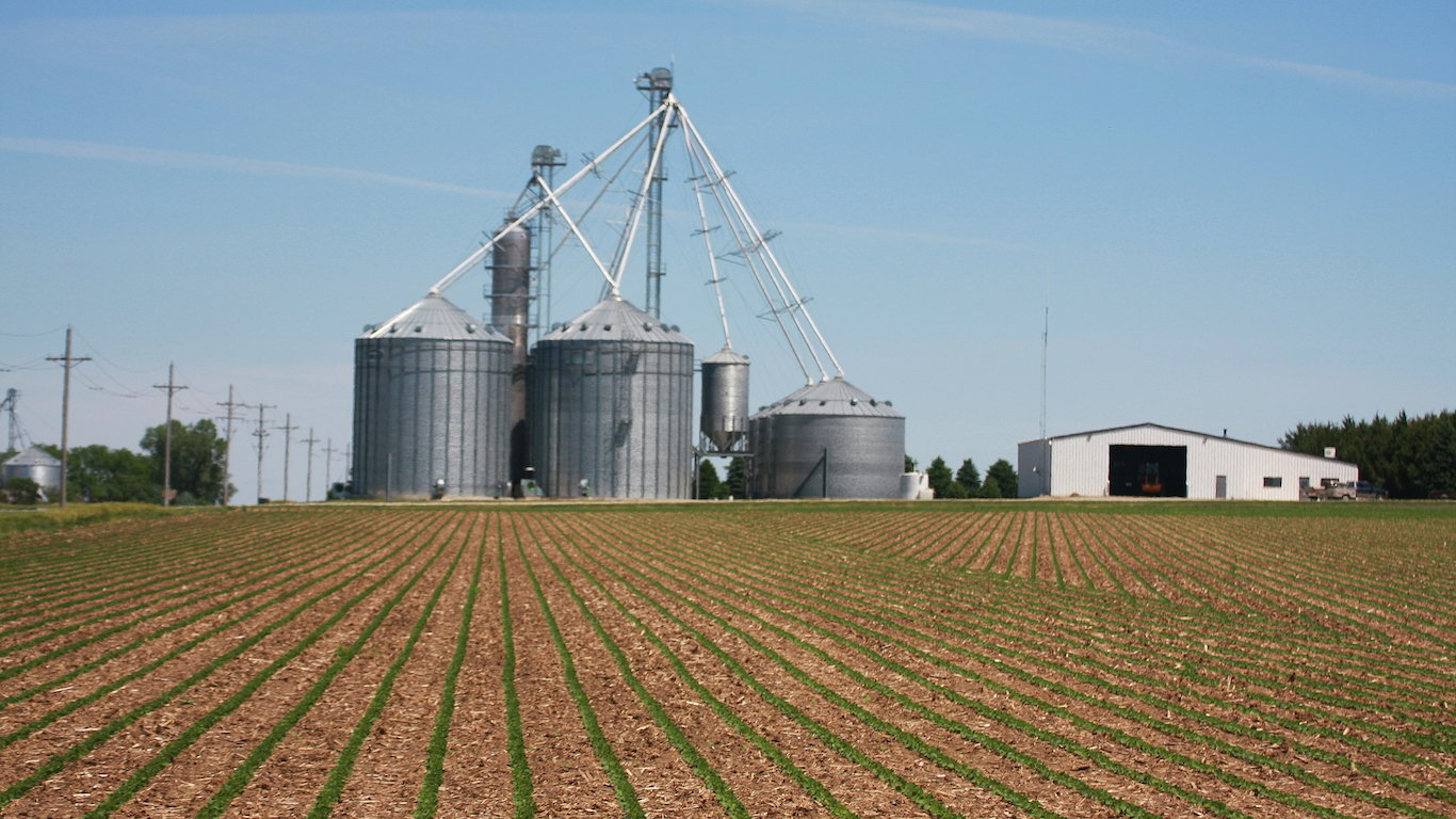 Nebraska Farm, Soybeans