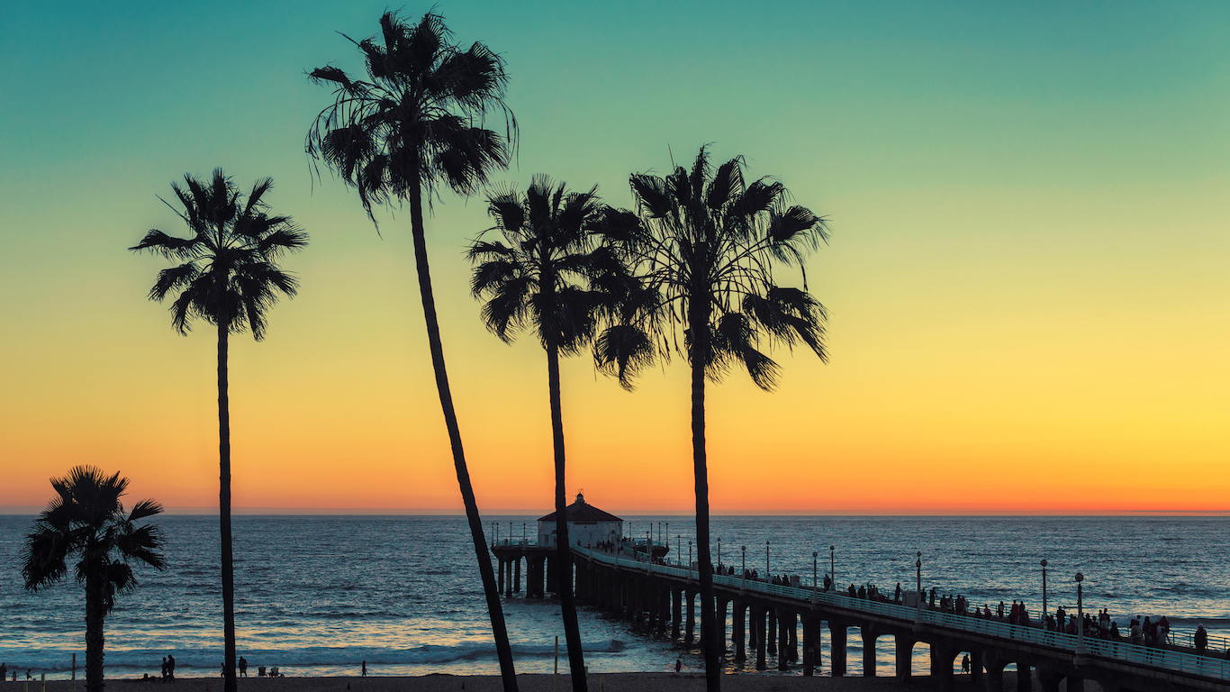 Palm trees at Manhattan Beach, Los Angeles County, California