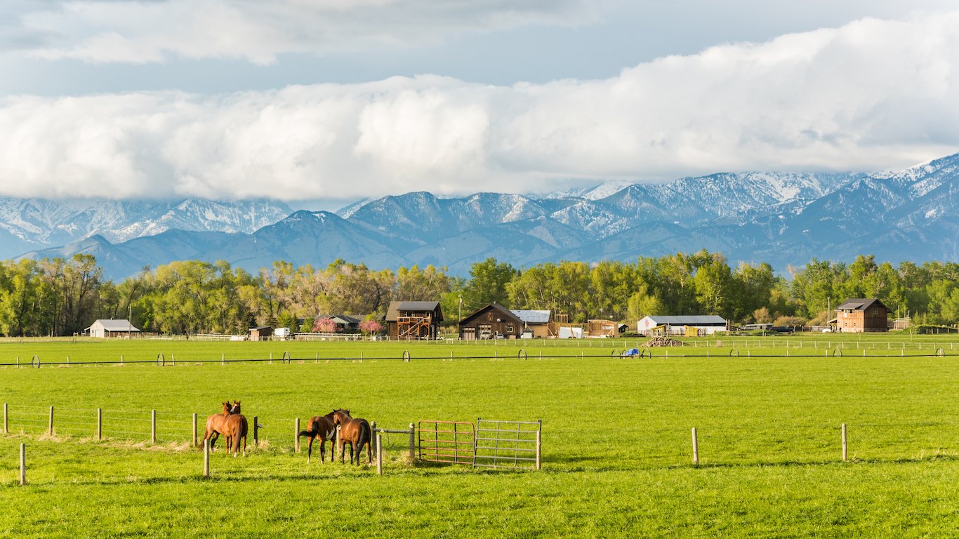 horse rural farm with mountains and clouds in Montana
