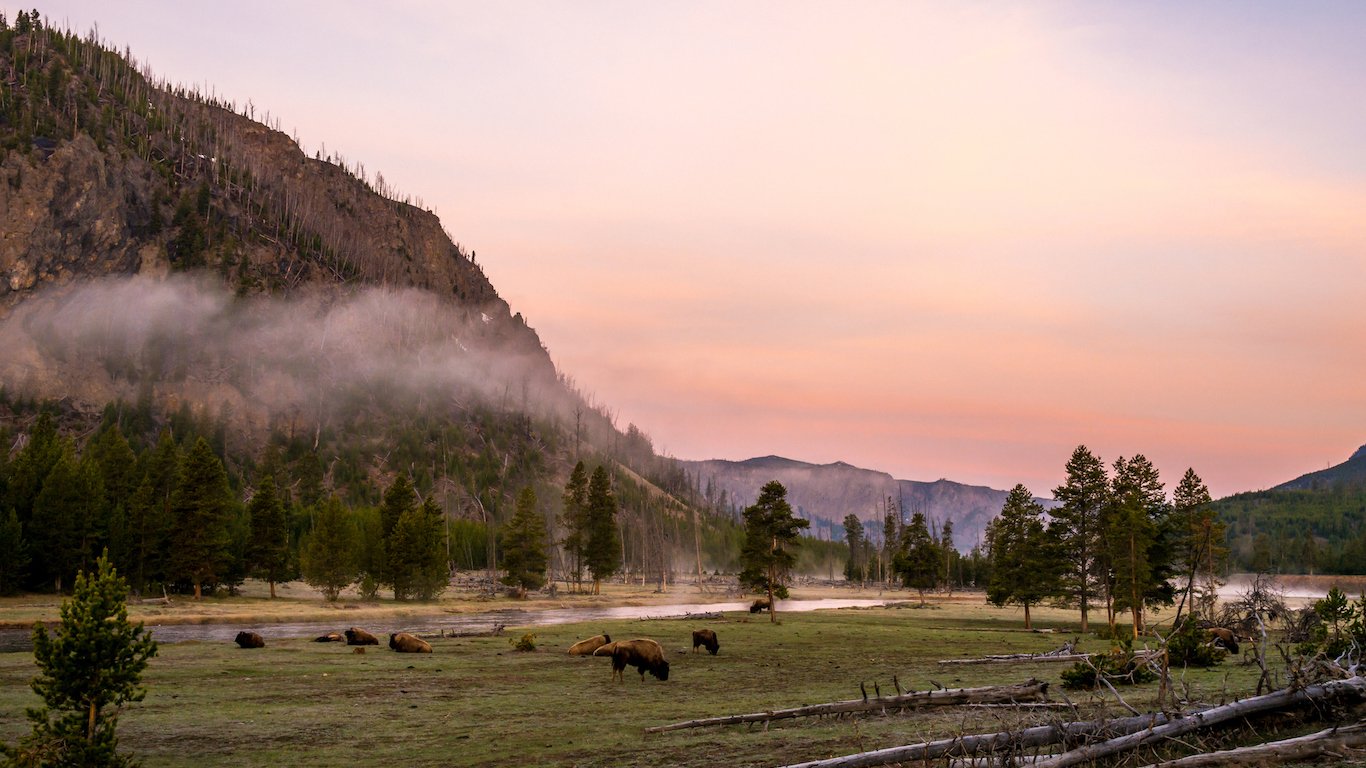 Fantastic morning along the Madison River junction in Yellowstone National Park, Wyoming