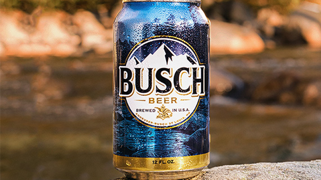 Busch Light Lager Domestic Beer 30 Pack 12 fl oz Aluminum Cans 4.1% ABV