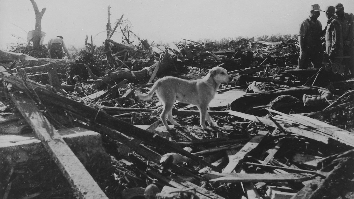 Men and dog inspect rubble left by tornado. Udall, Kansas - NARA - 283889 by U.S. National Archives and Records Administration