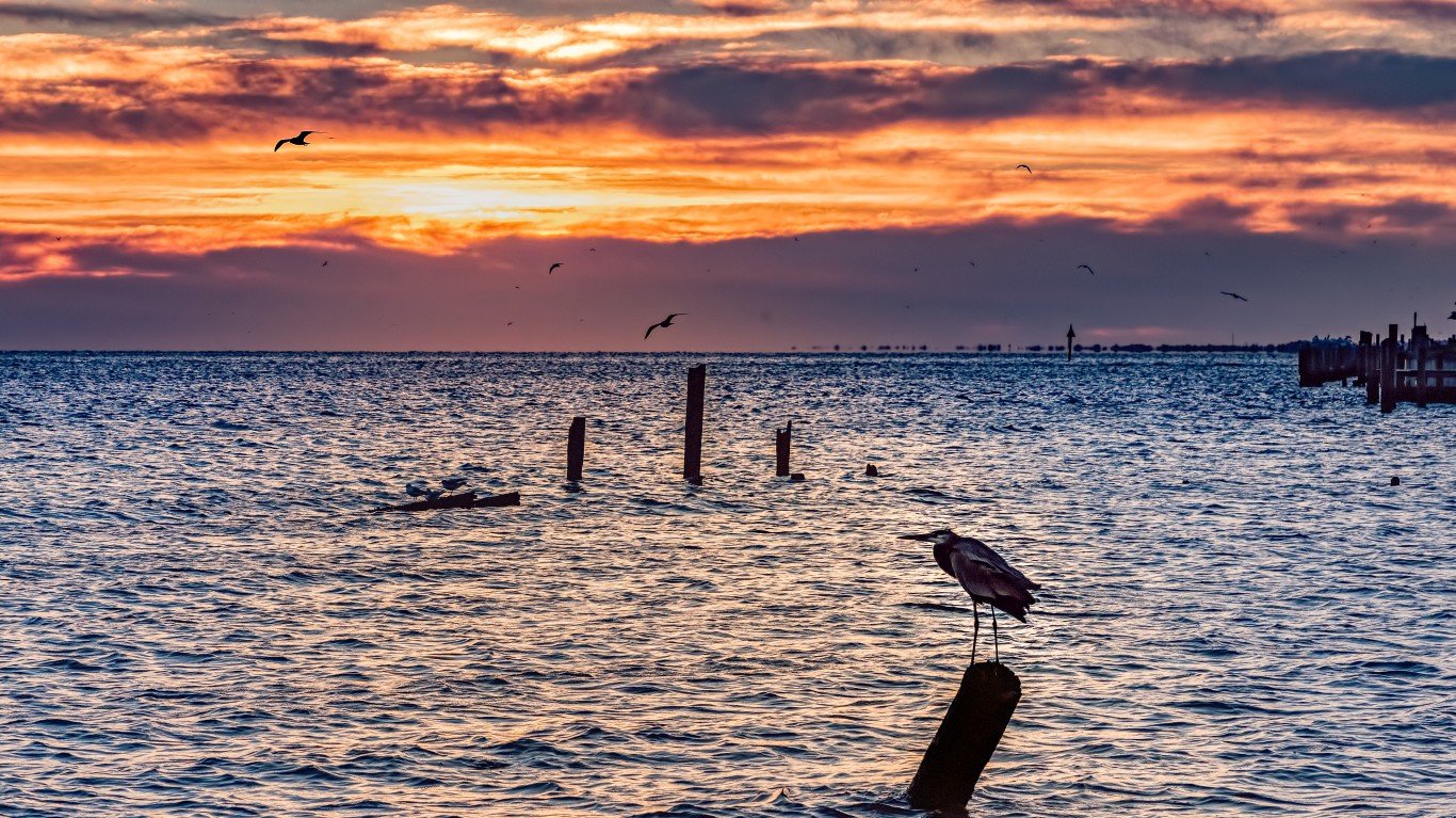 A heron sits atop a piling looking for fish as the sun rises over Seabrook, Texas along the Texas Gulf Coast.