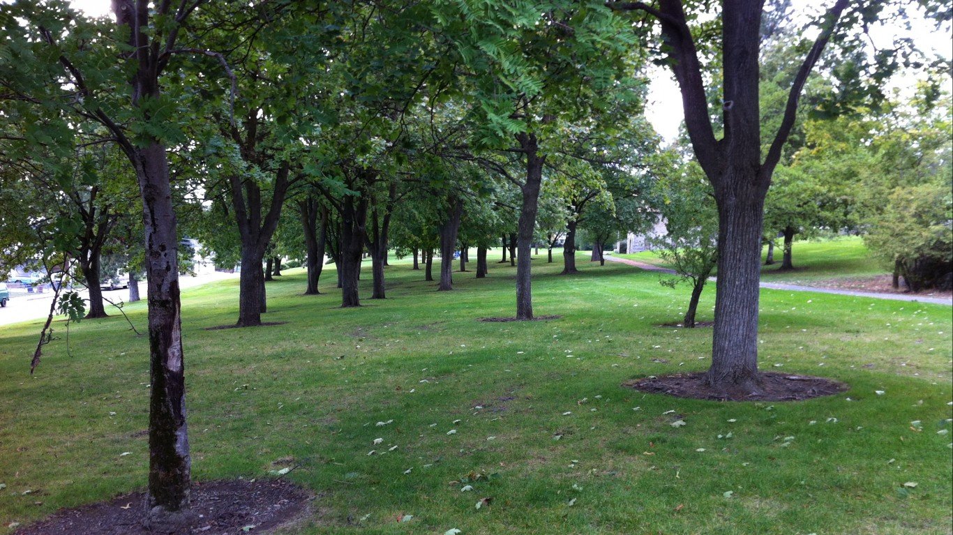 Lawn and trees at Minnehaha Park, Spokane, Washington by Dannooll