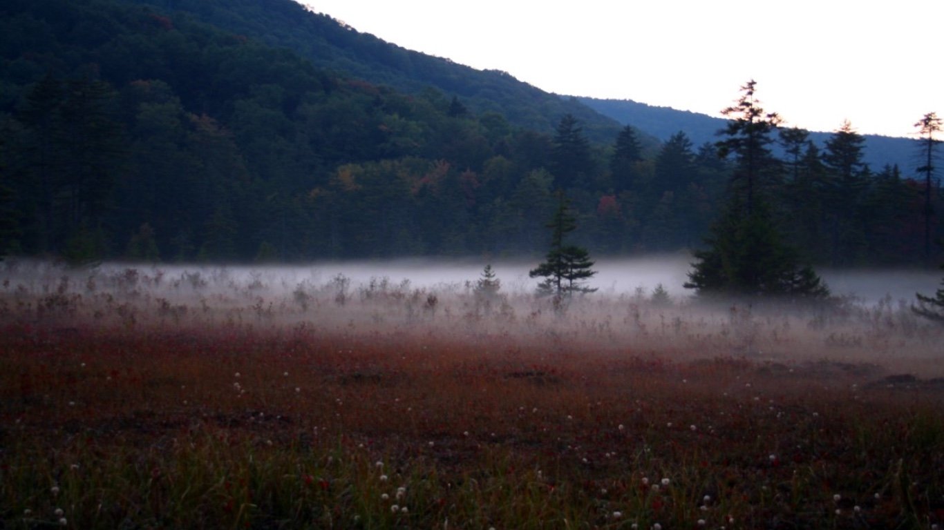 Cranberry-glades-fog-3 - West Virginia - ForestWander by ForestWander