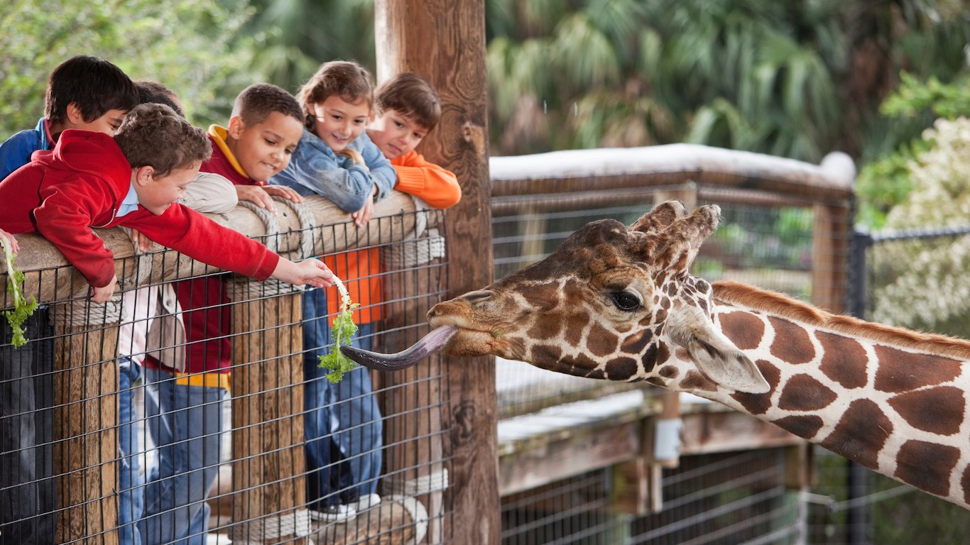 The Best Zoos in America 24/7 Wall St.