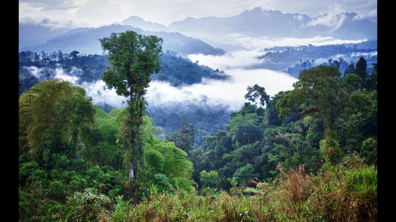 Cloud forest in Ecuador