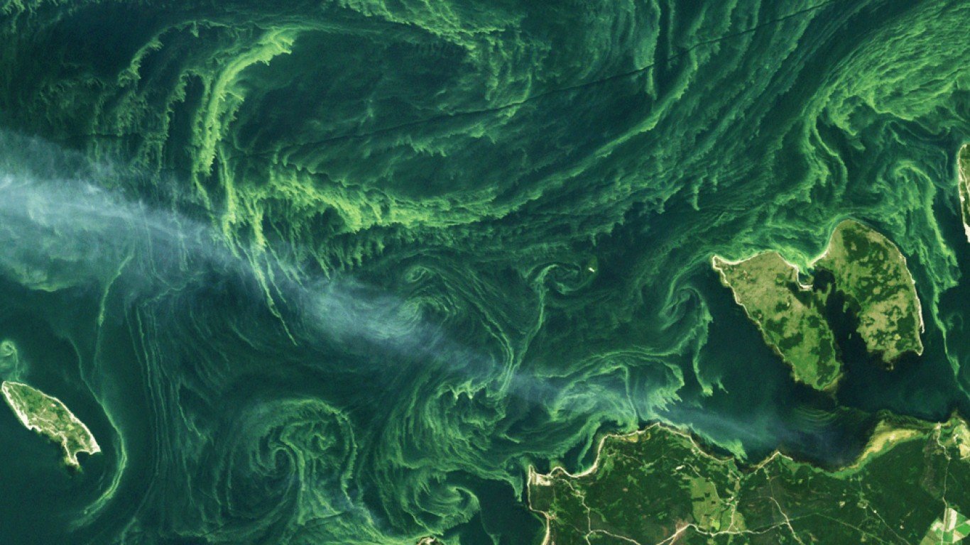 Algae Bloom by Mapbox