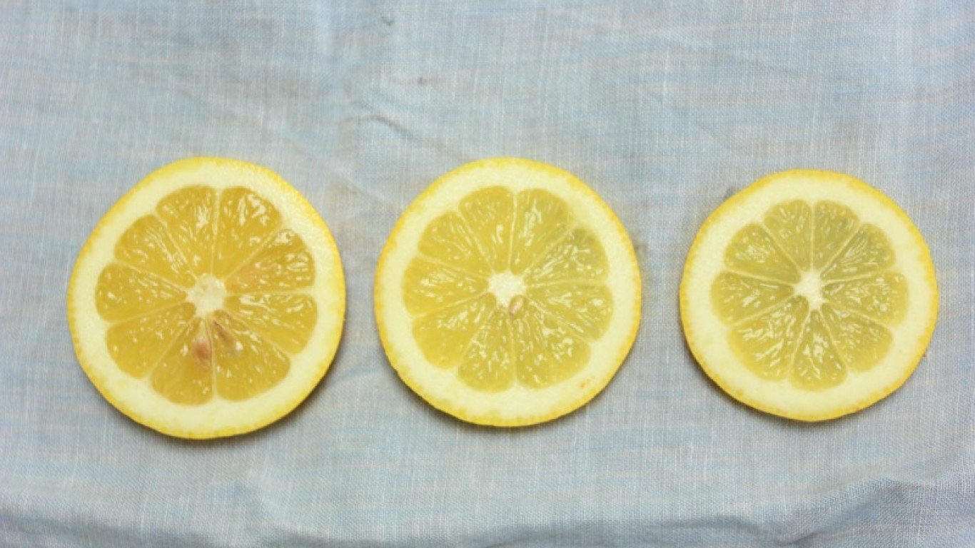 sliced lemons by _Libby_