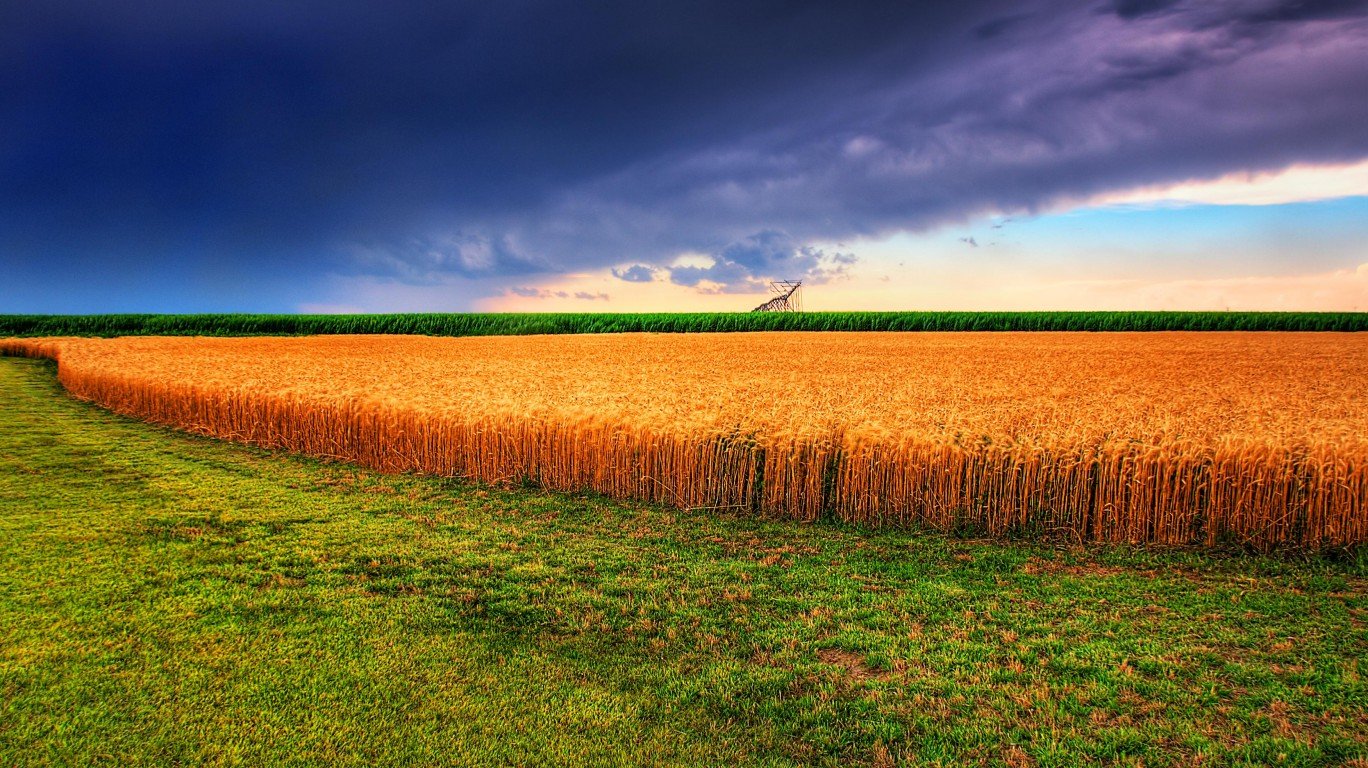 Kansas summer wheat field and ... by GPA Photo Archive