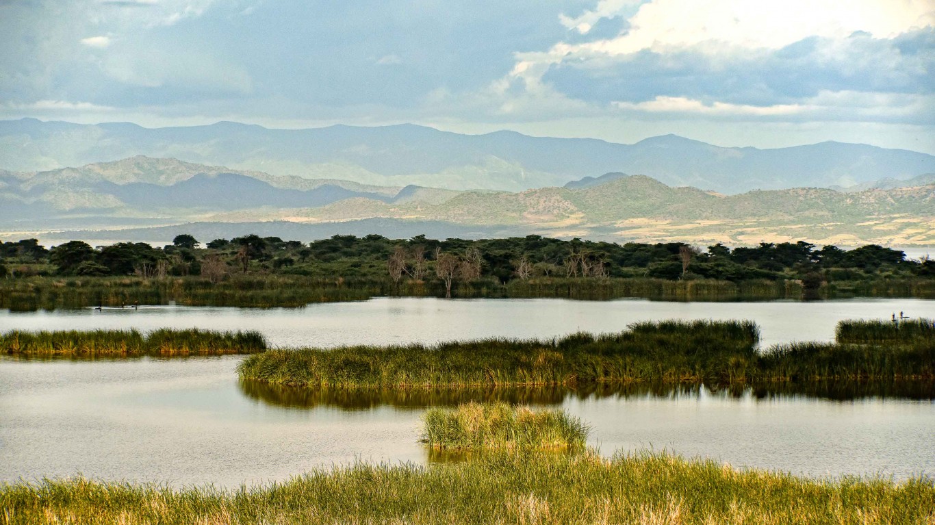 Marshlands, Lake Chamu by Rod Waddington