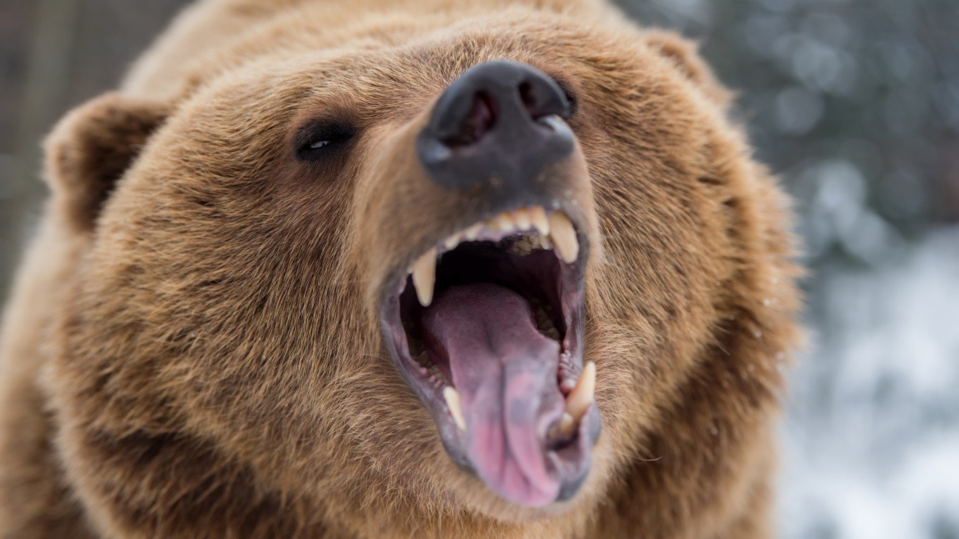 This Sector With Dependable, Big Dividends Likely Will Dodge The Bear Market