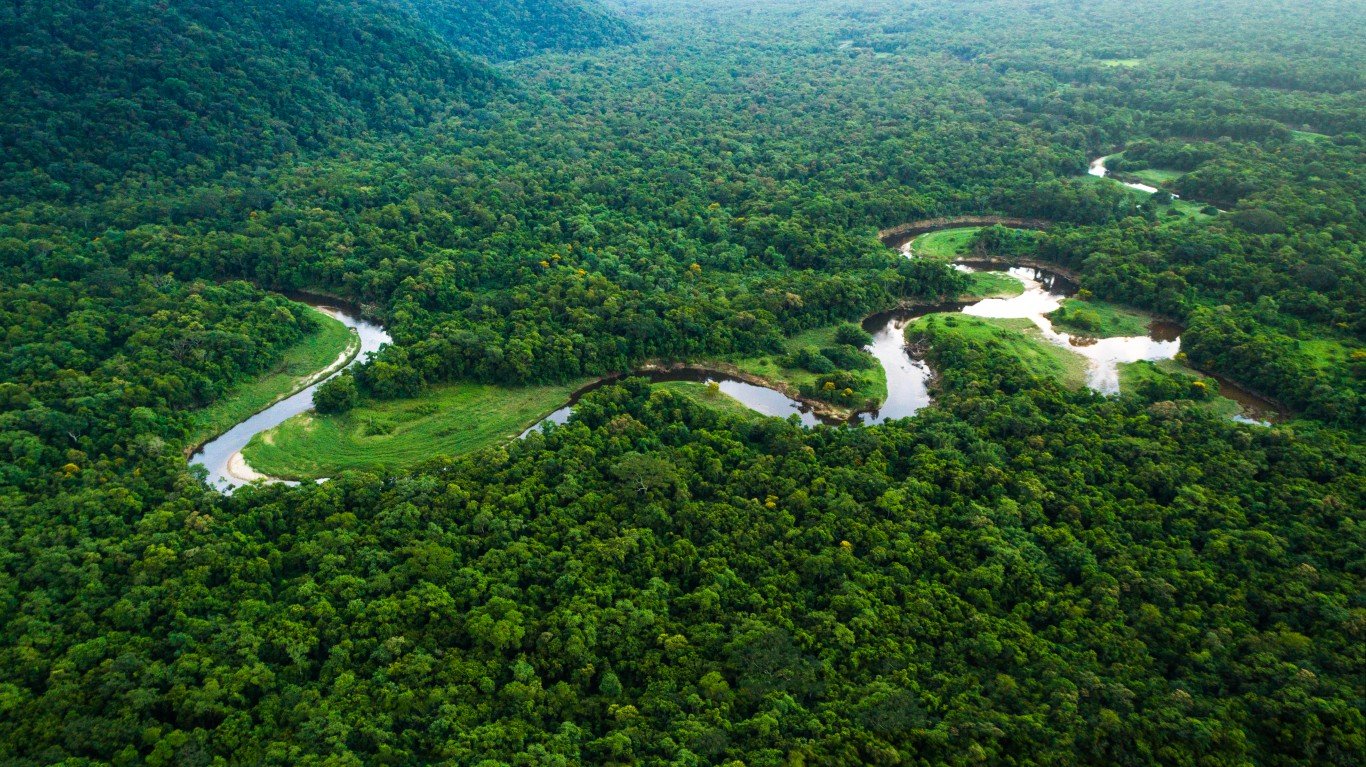 Brazil's tropical rainforest