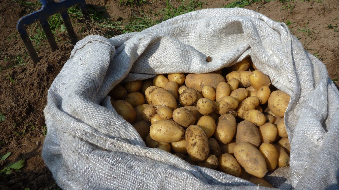 potatoes by sethoscope
