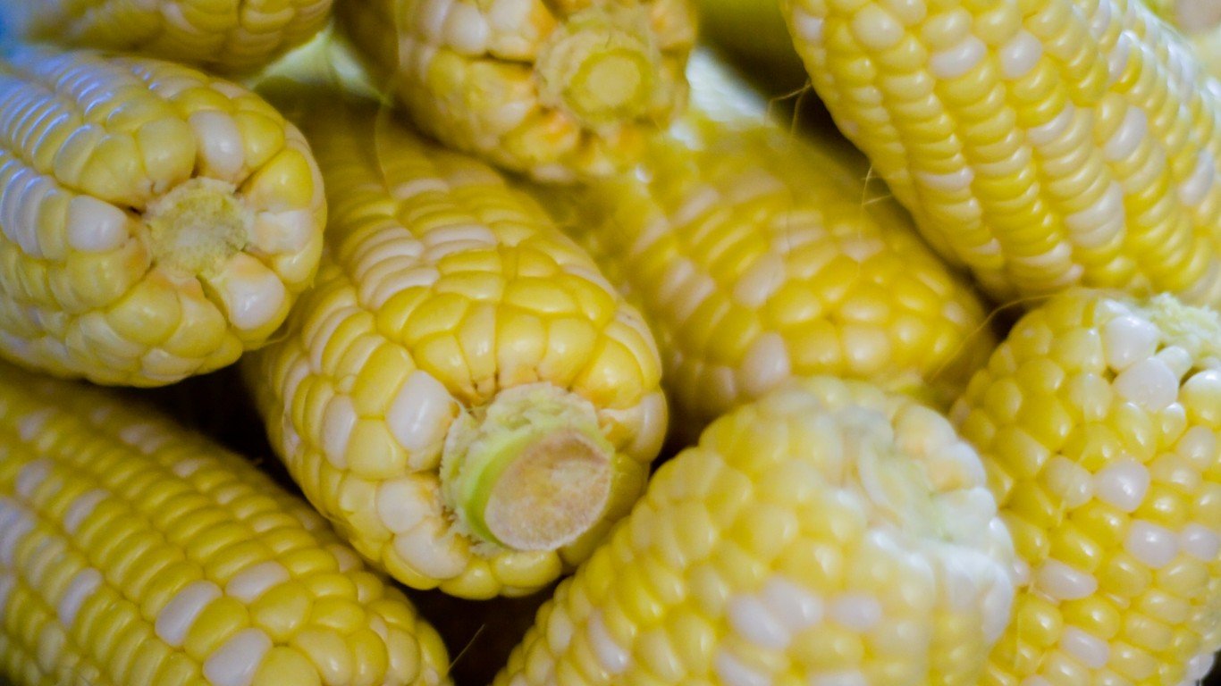 Corn on the cob by Andrew Malone