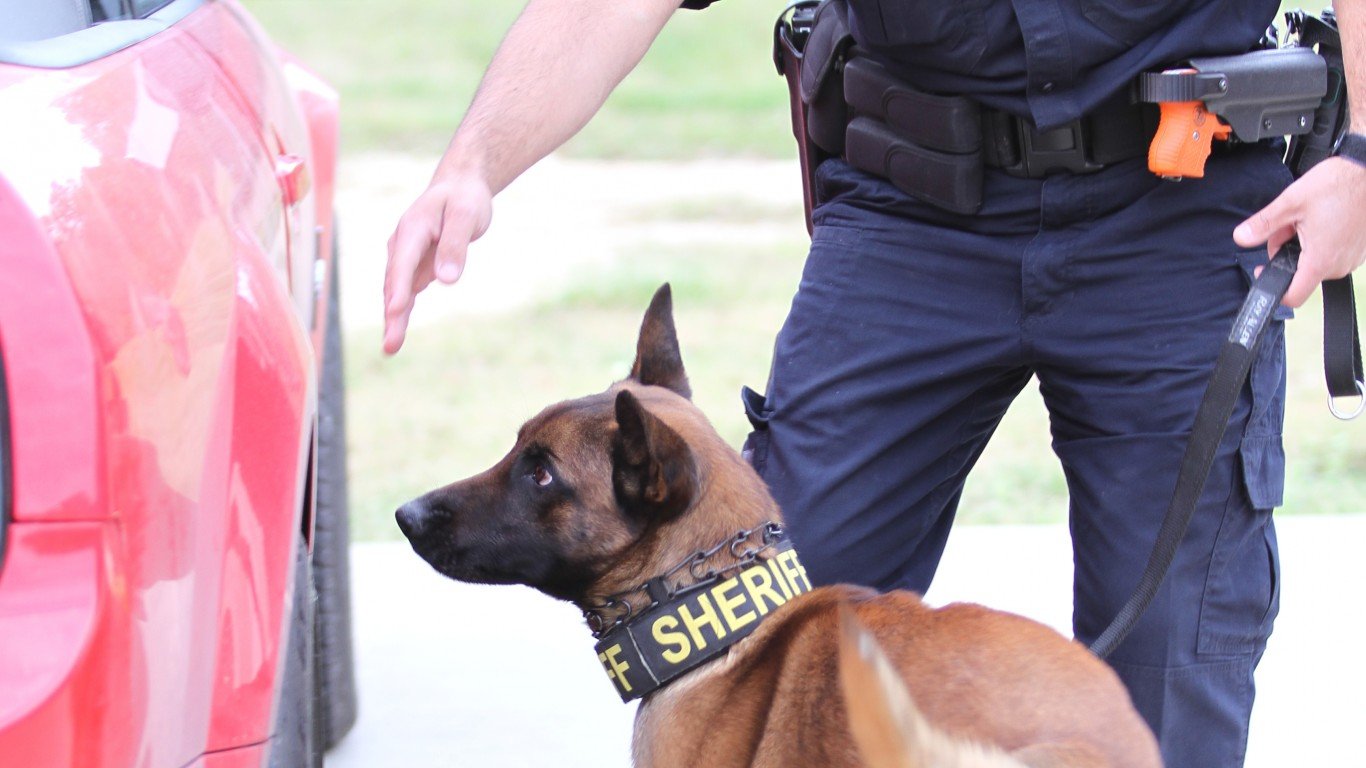 K-9 Officer, Vhari and Sgt. Co... by Tammy Anthony Baker