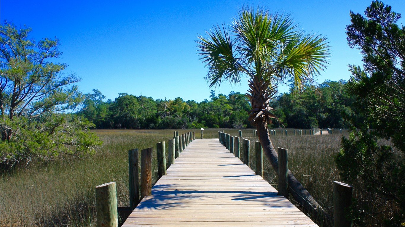 Palmetto Islands County Park by Donald West