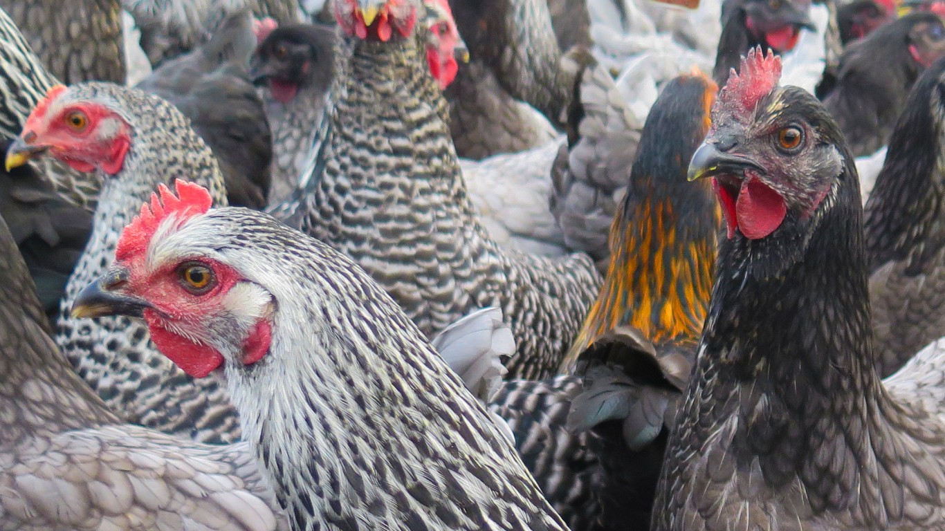 Goldman Sachs Downgrades Tyson Foods