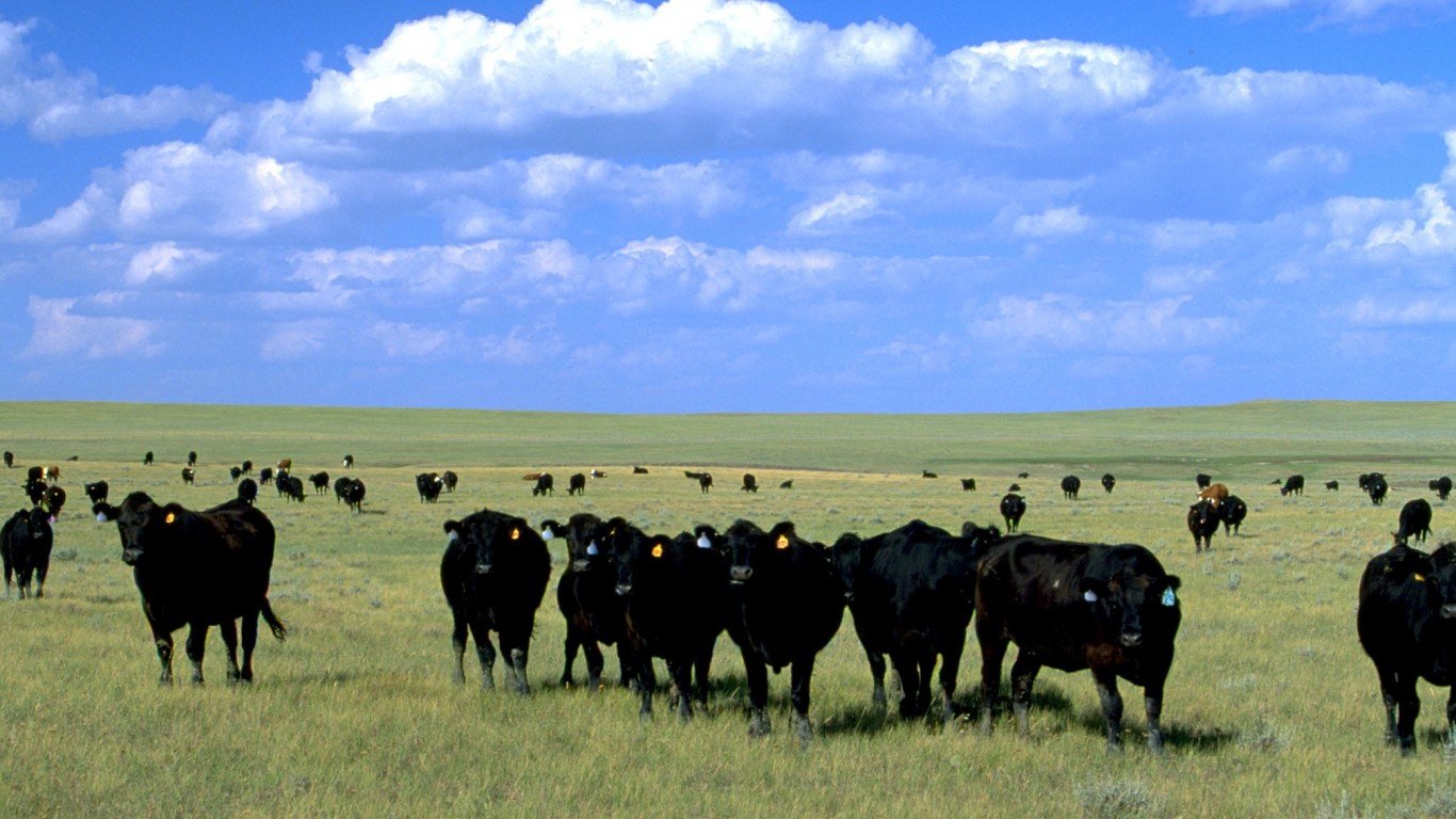 South Dakota grazing by Bureau of Land Management