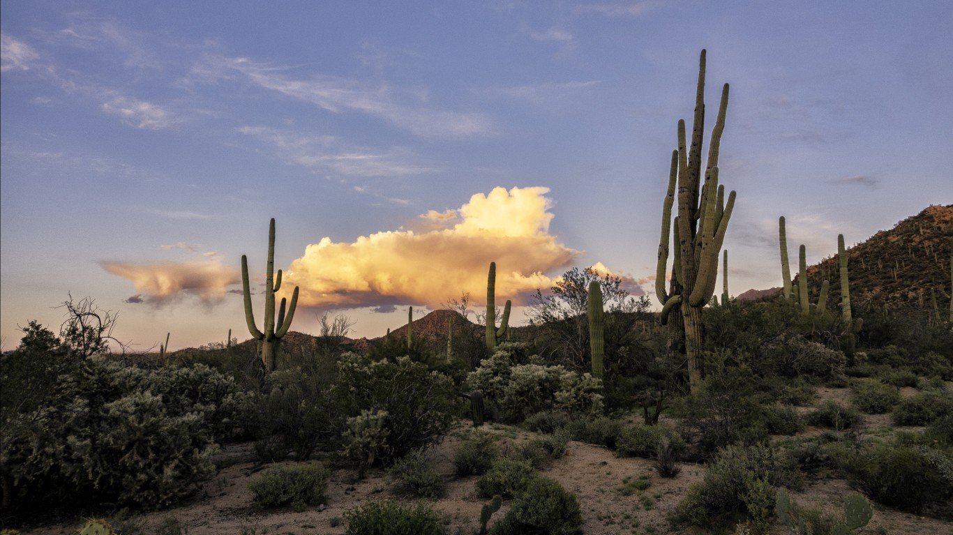 Saguaro Sunset by John Fowler