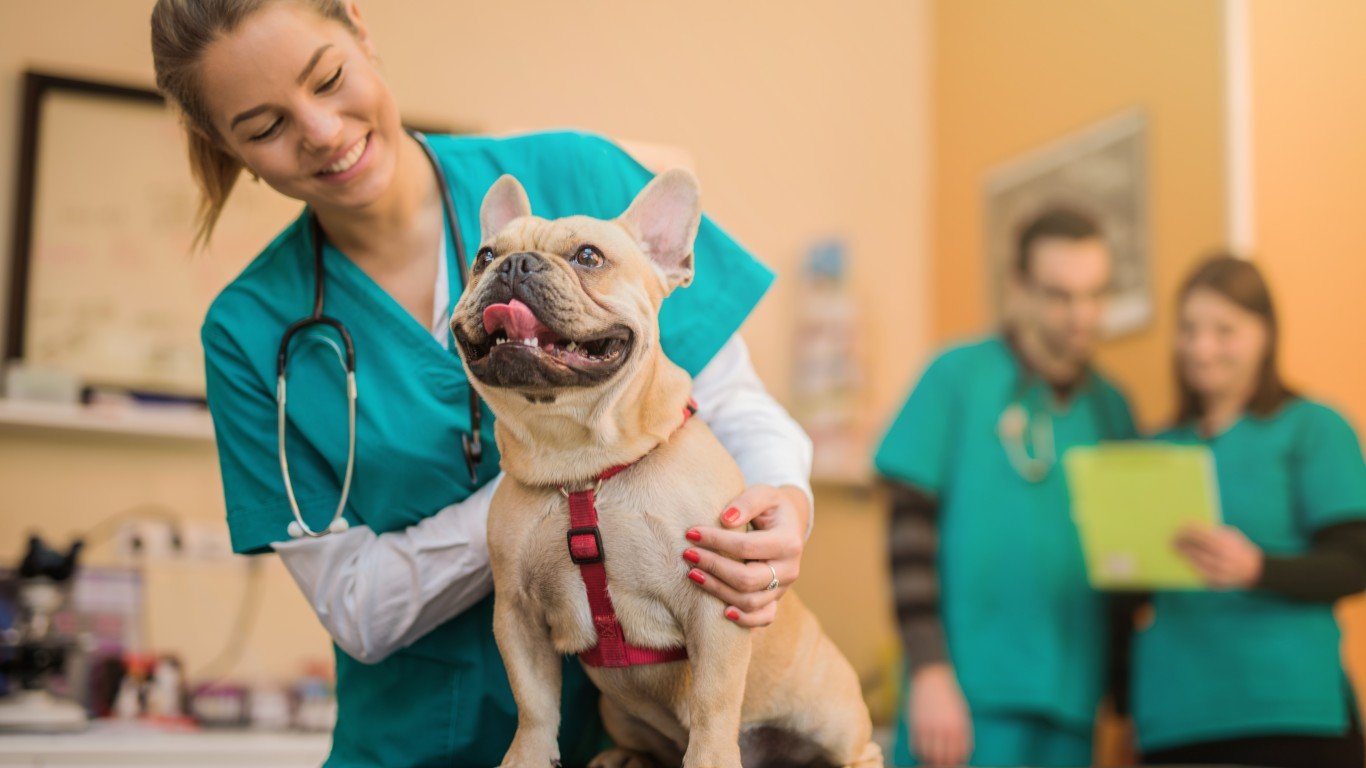 The Most Common Reasons People Take Their Dog to the Vet – 24/7 Wall St.