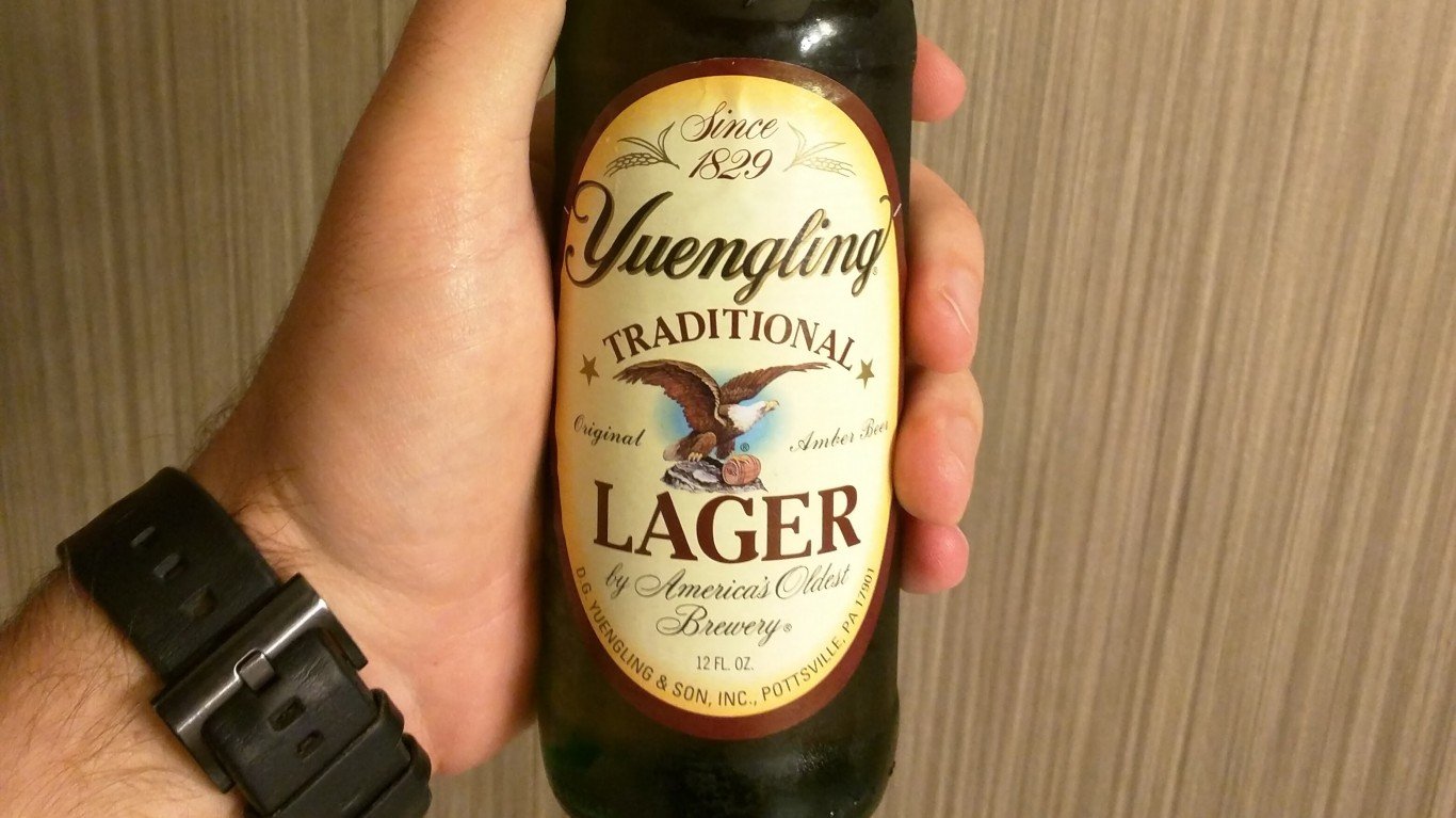 Yuengling - Tranditional Lager by Sam Cavenagh