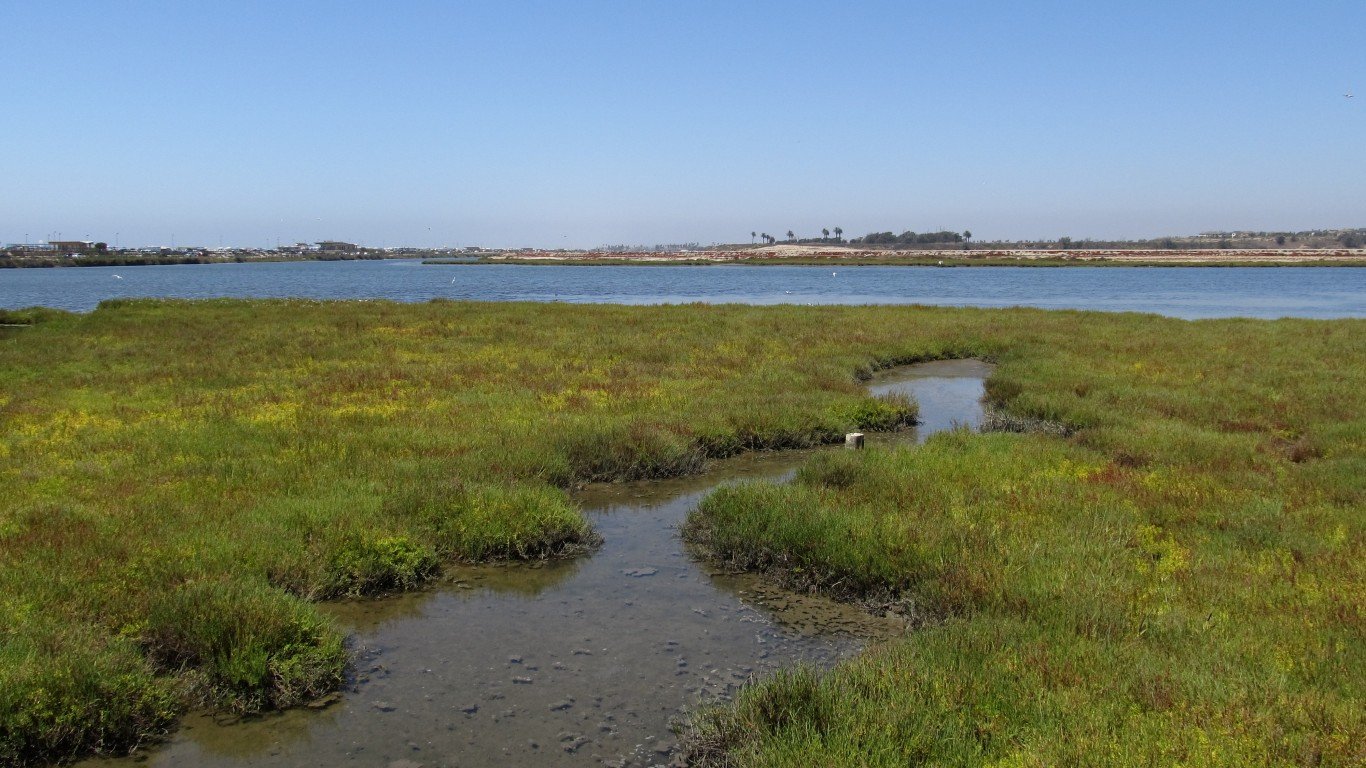 Bolsa Chica Ecological Reserve... by Ken Lund
