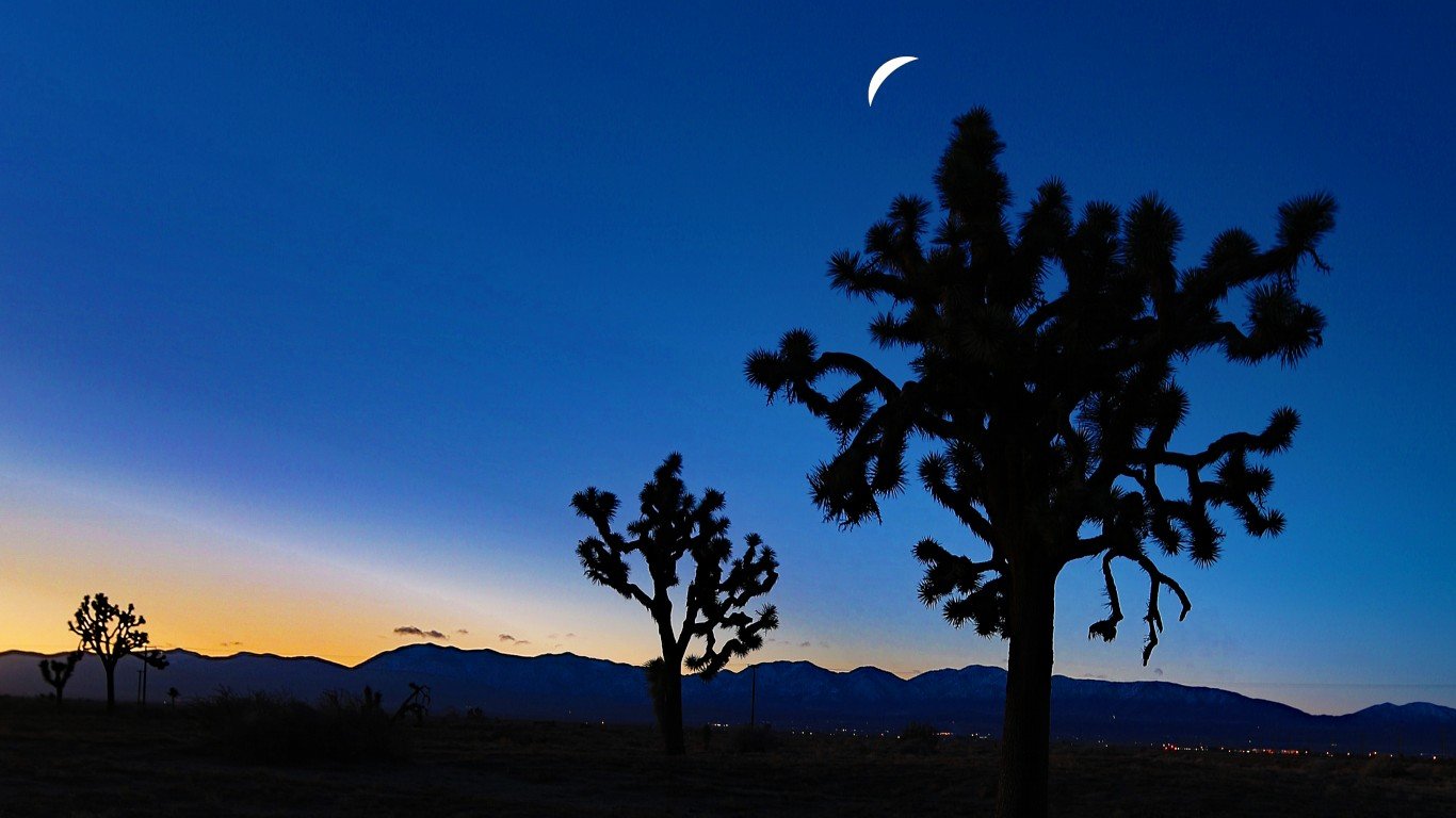 Moon Over Joshua Trees by Rennett Stowe