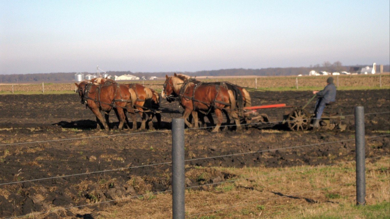 An Amish plowing in Arthur, Il... by Mia & Steve Mestdagh