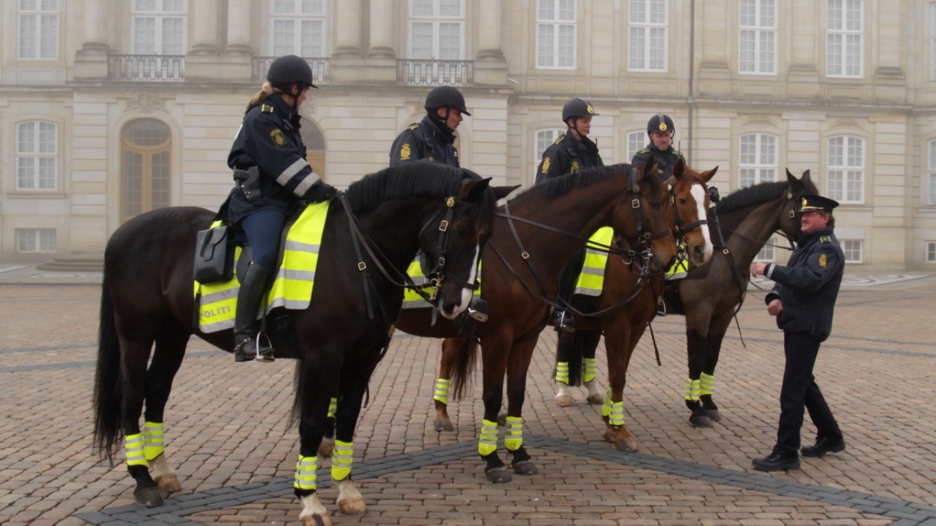 Police horses 1 by MasterPhoto-DK