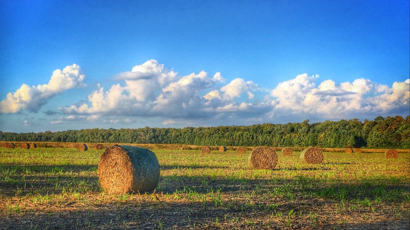 Hay bales outside Georgetown by Michele Dorsey Walfred