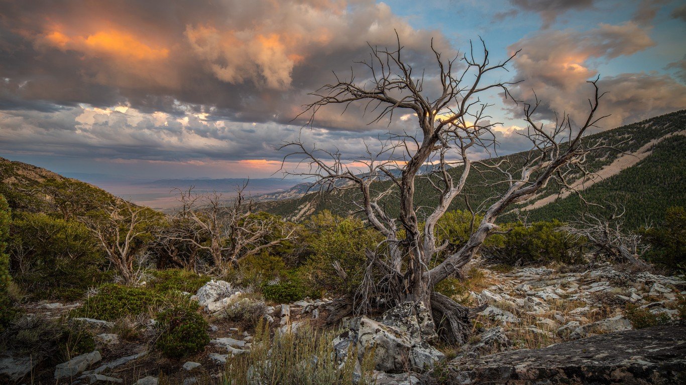 Great Basin National Park by Andrew Kearns