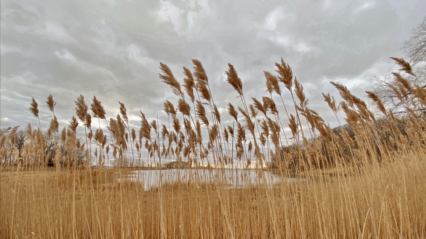 Marshlands Conservancy, Rye, N... by Bryan Pocius