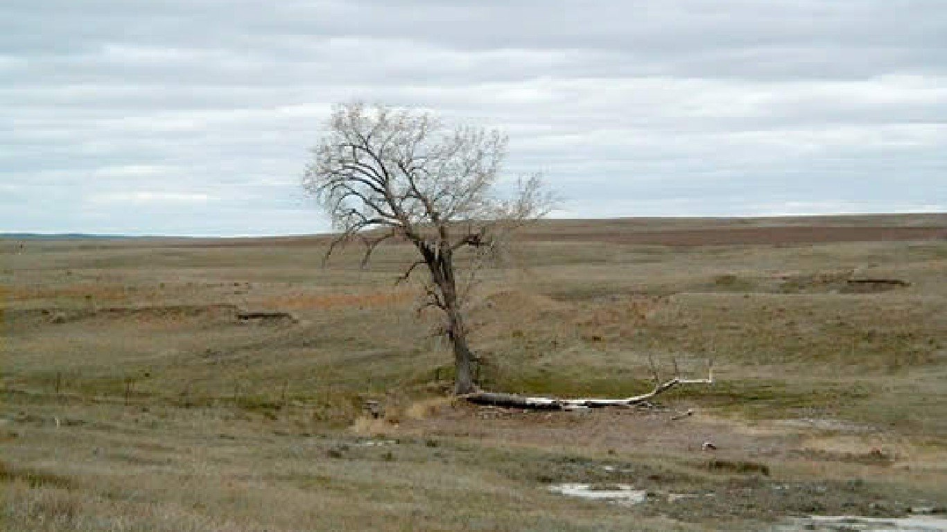 Grand River NG Lone Tree by U.S. Forest Service