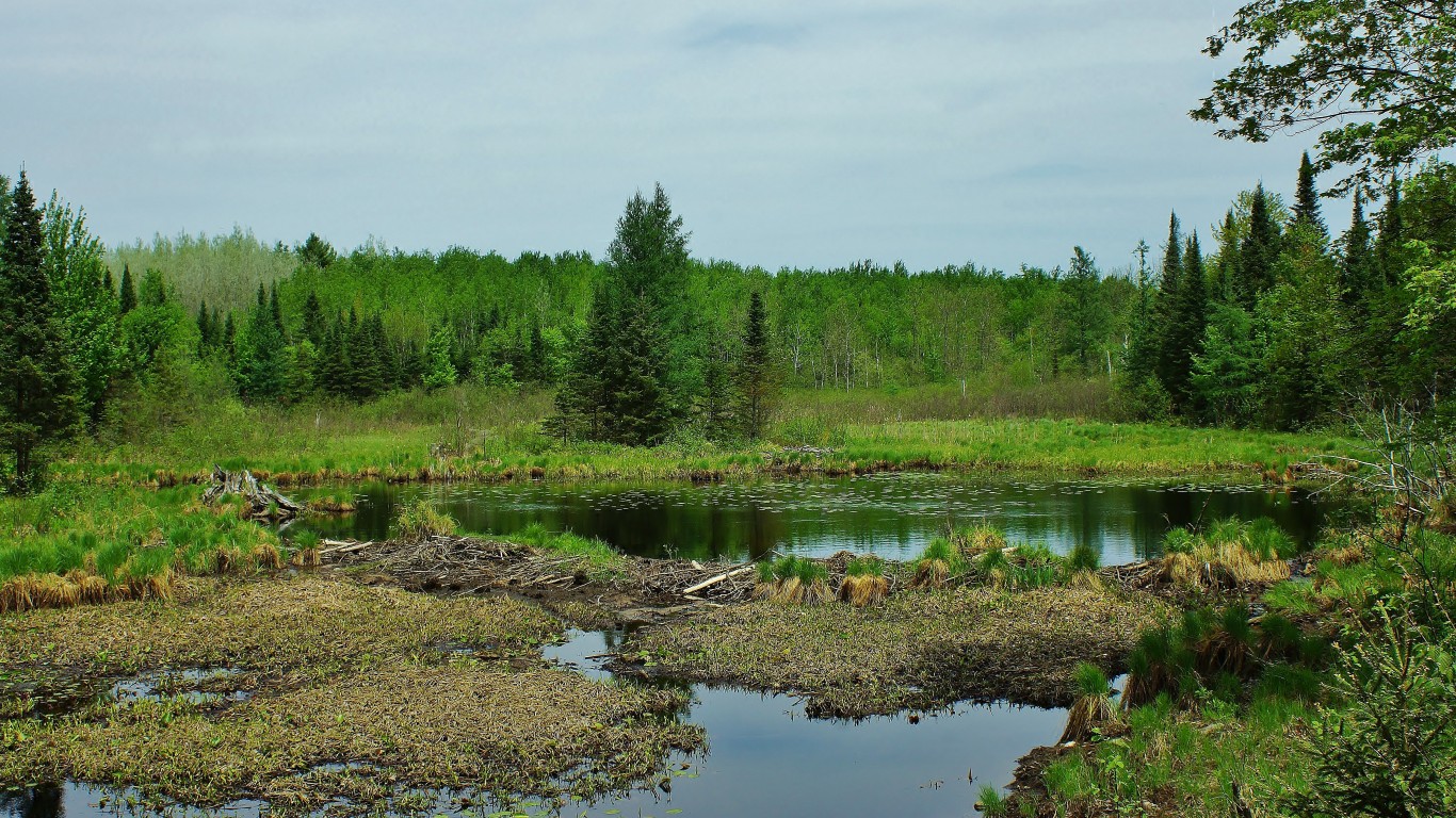 Beaver Pond by chumlee10