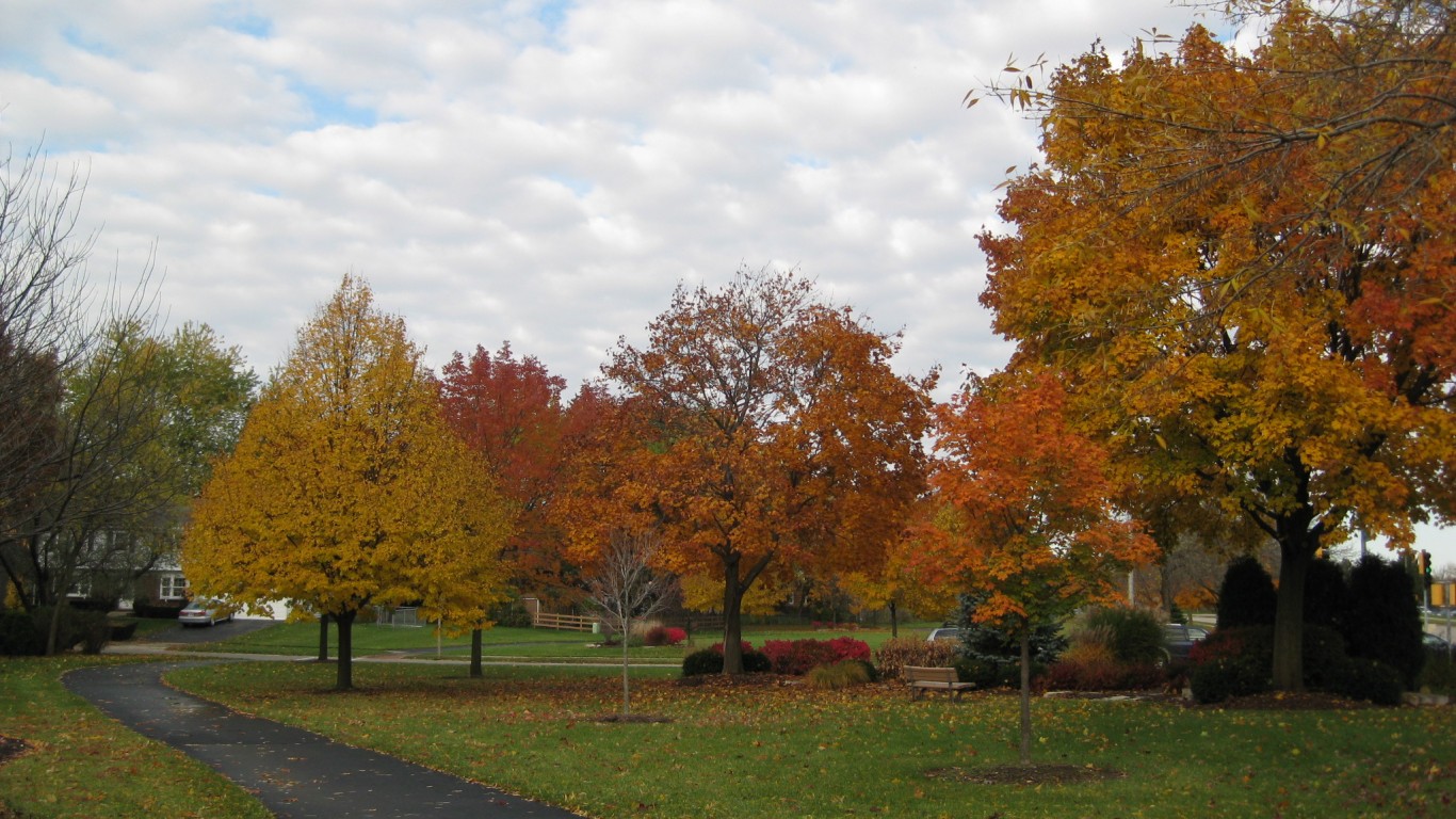 Weidner Park - Buffalo Grove by Brian Plunkett