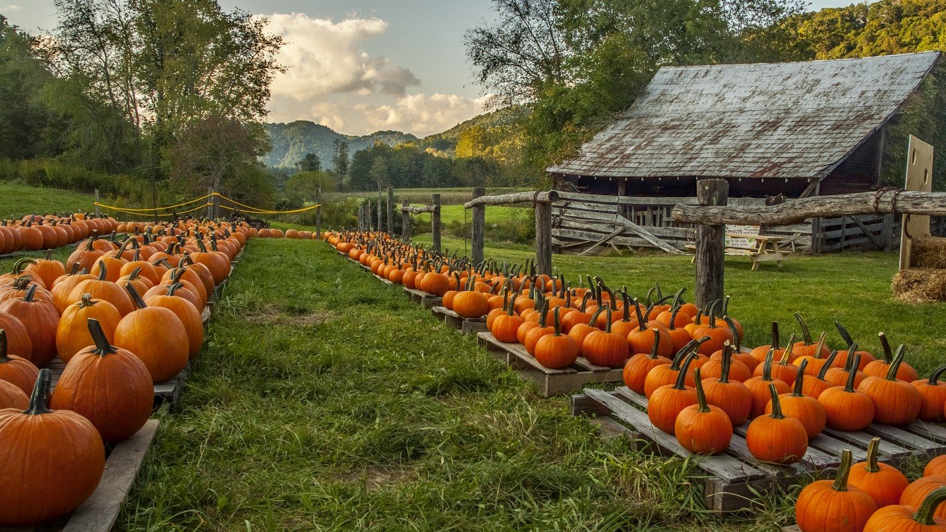 the-13-states-that-grow-the-most-pumpkins-page-2-24-7-wall-st