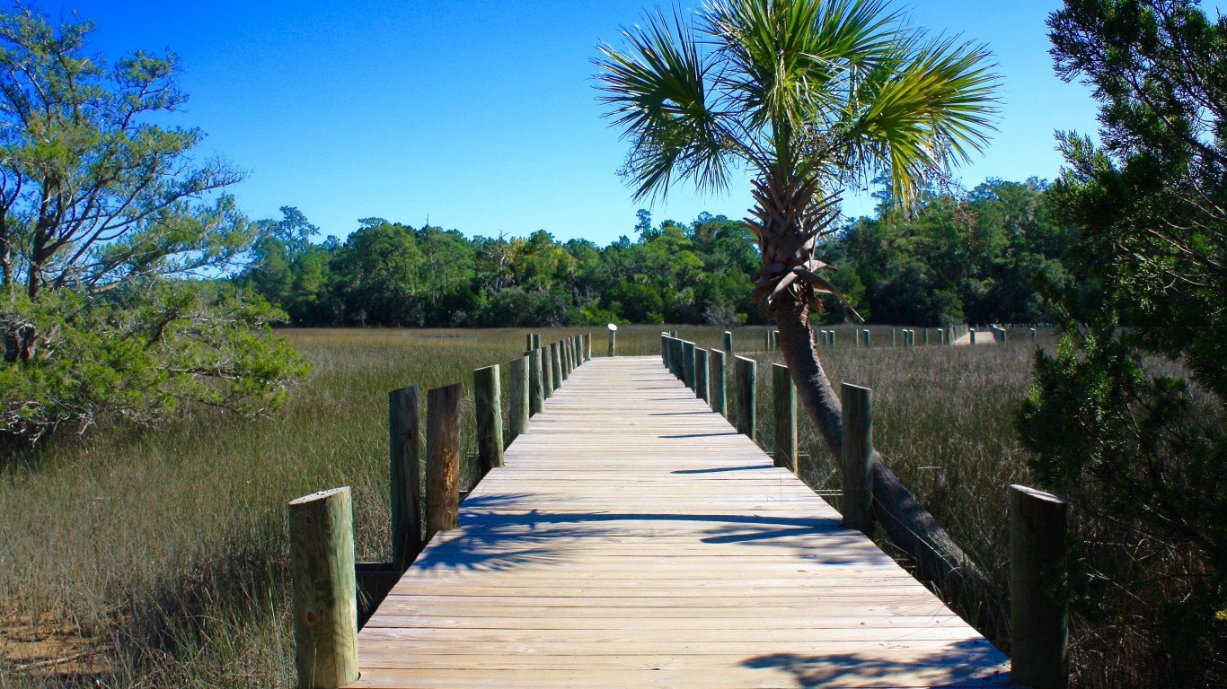 Palmetto Islands County Park by Donald West