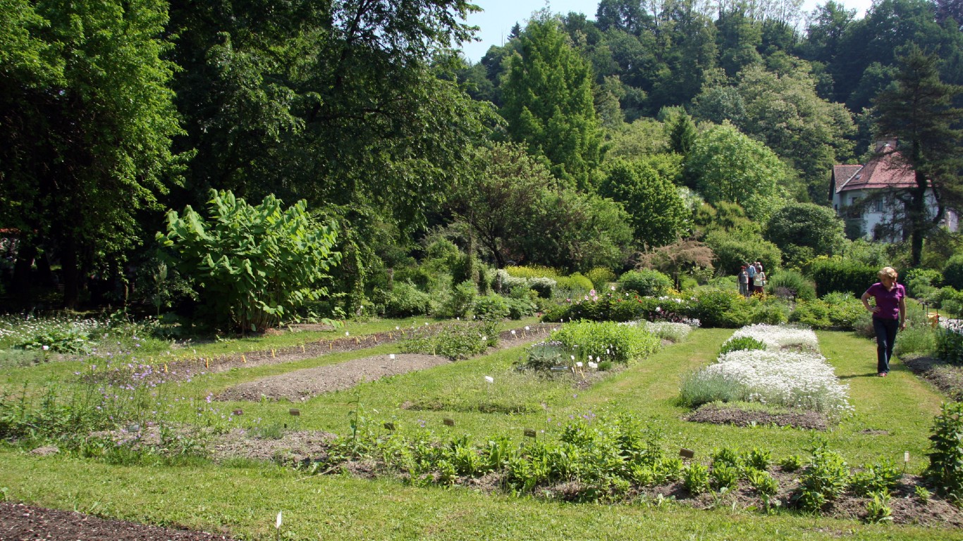 Ljubljana Botanic Garden - plant system by Yerpo