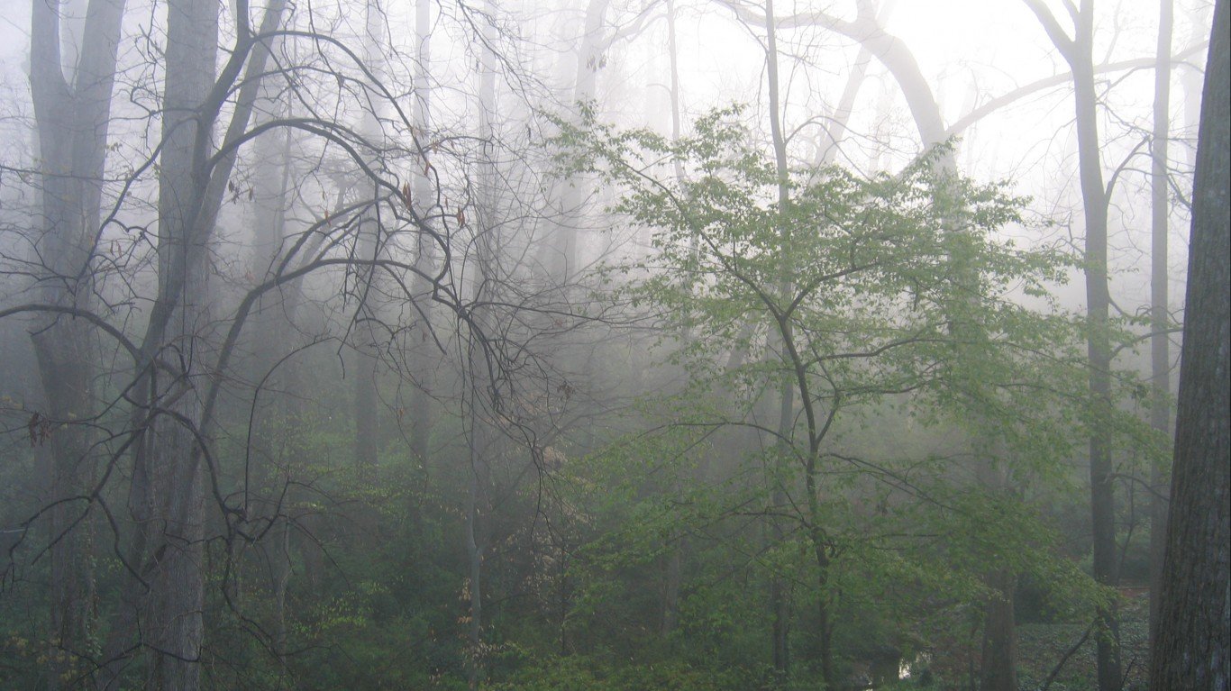 Misty Look at a Druid Hills (A... by Mitchell Friedman