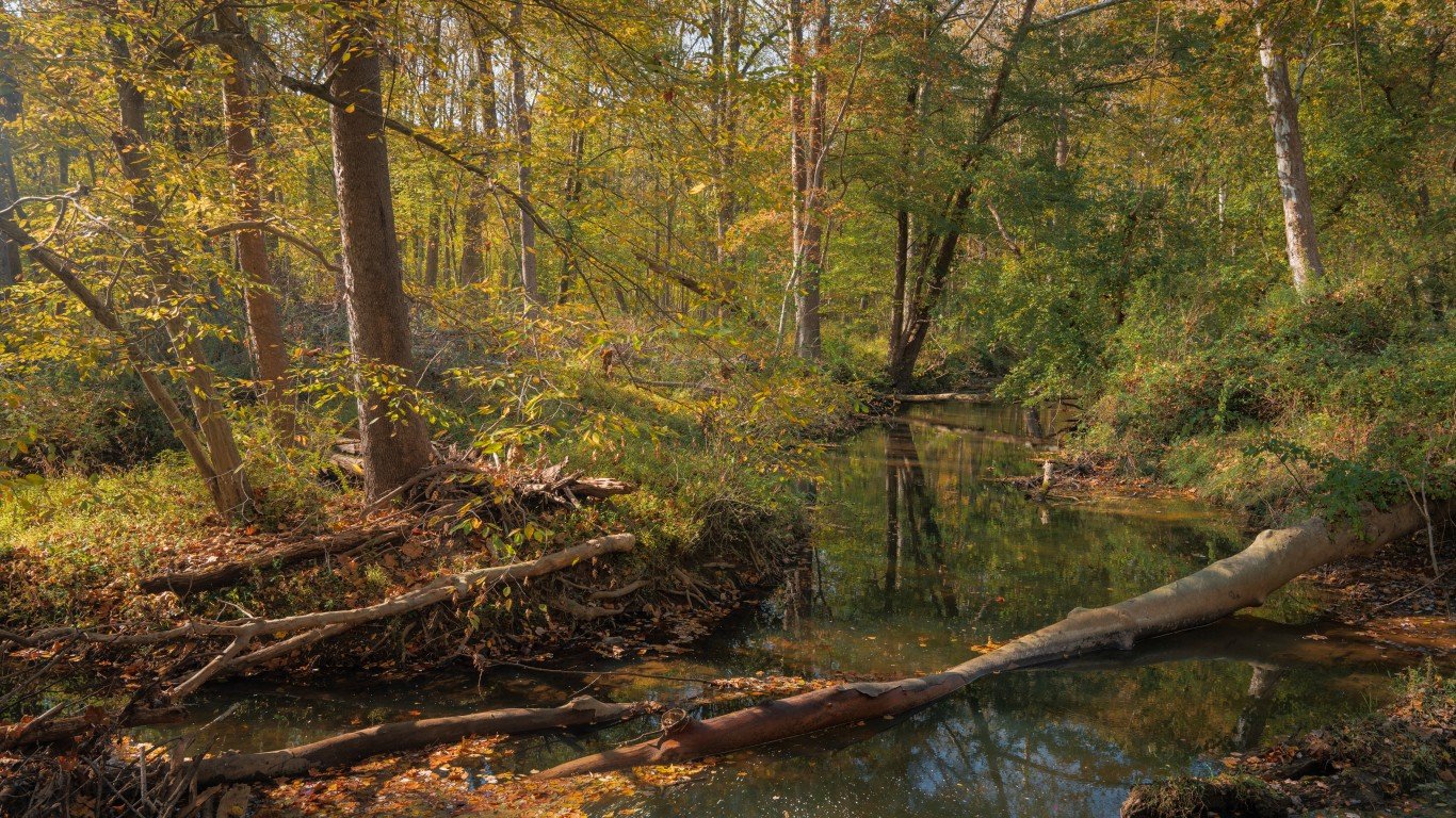 Rock Creek by John Brighenti