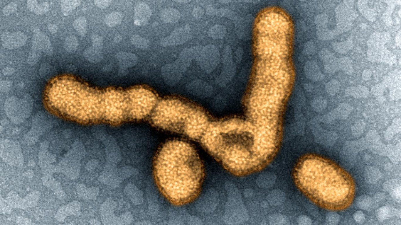 H1N1 Influenza Virus Particles by NIAID