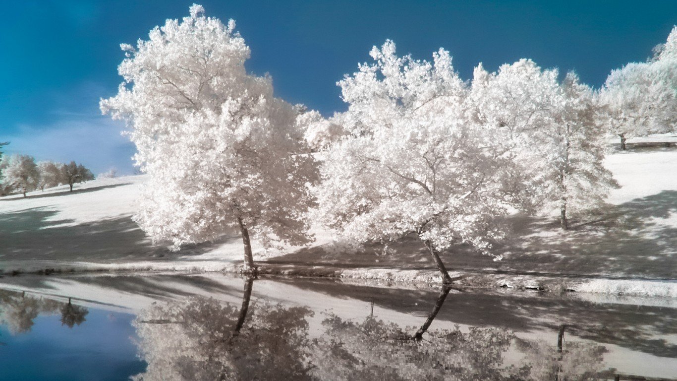 Negative Reflections by Thomas