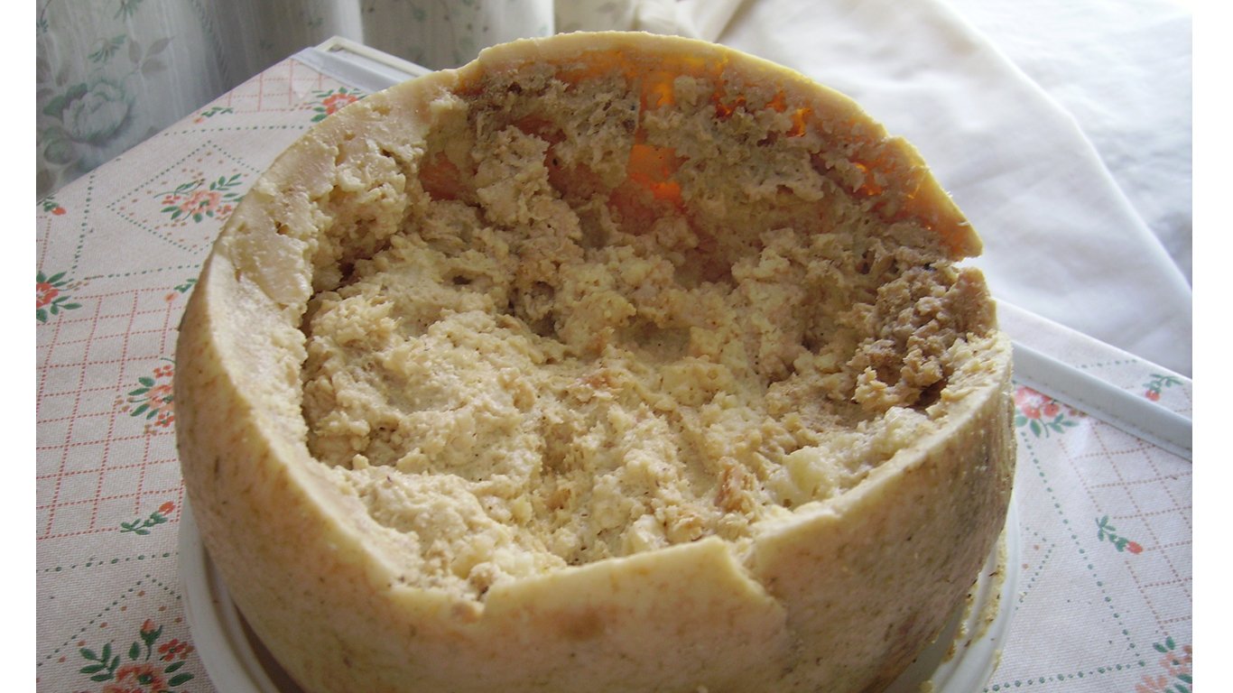 Casu Marzu cheese by Shardan 